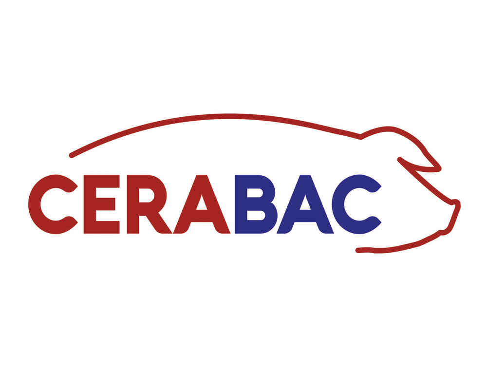 Logo CERAVITAL Logo CERAVITAL