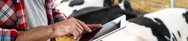 News & Media Mann mit Tablet im Kuhstall News & Media Mann mit Tablet im Kuhstall