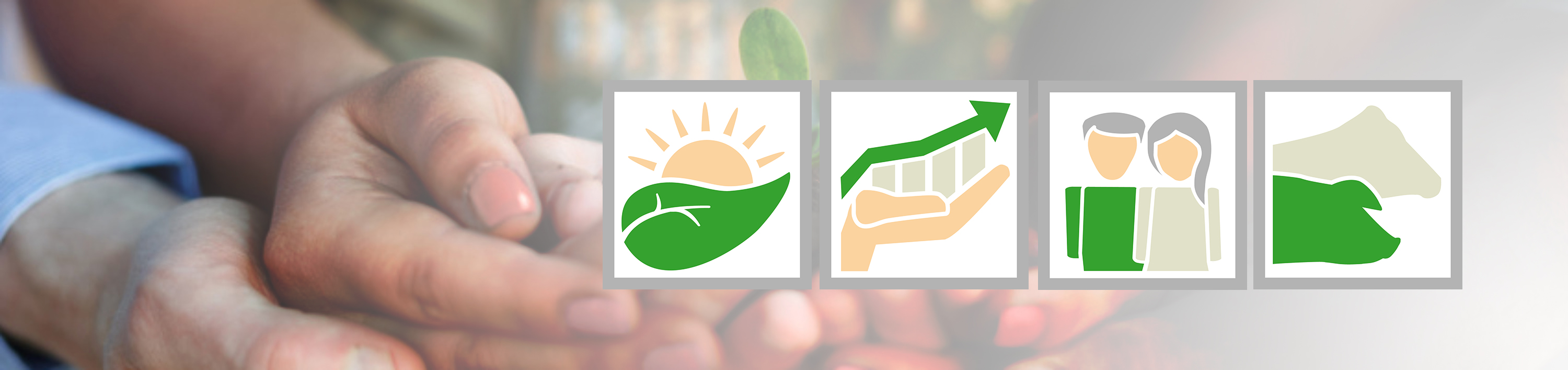 de_fot_54706135_haende_nachhaltigkeit_icons_3000x710px de_fot_54706135_haende_nachhaltigkeit_icons_3000x710px